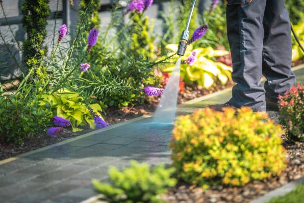Professional Pressure Washing Services in Lake Heritage, PA